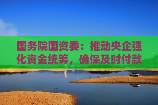 国务院国资委：推动央企强化资金统筹，确保及时付款
