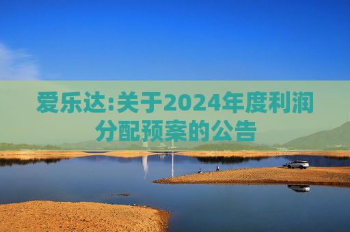 爱乐达:关于2024年度利润分配预案的公告