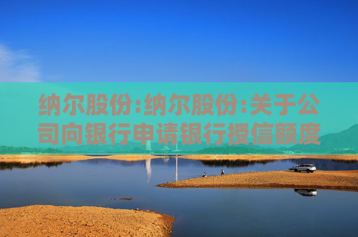 纳尔股份:纳尔股份:关于公司向银行申请银行授信额度的公告