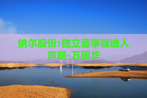 纳尔股份:独立董事候选人声明-万国华