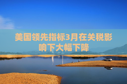 美国领先指标3月在关税影响下大幅下降  第1张