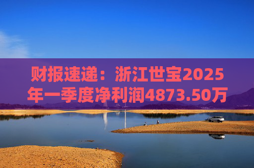 财报速递：浙江世宝2025年一季度净利润4873.50万元