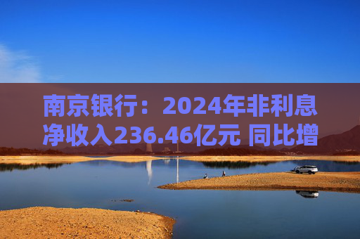 南京银行：2024年非利息净收入236.46亿元 同比增长19.98%