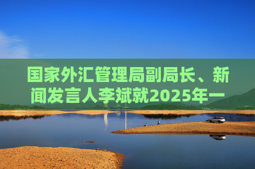 国家外汇管理局副局长、新闻发言人李斌就2025年一季度外汇收支形势答记者问  第1张