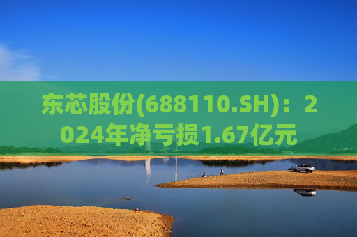 东芯股份(688110.SH)：2024年净亏损1.67亿元  第1张