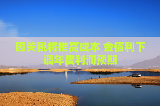 因关税将推高成本 金佰利下调年度利润预期  第1张