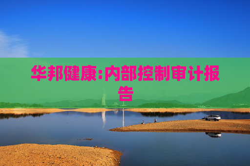 华邦健康:内部控制审计报告