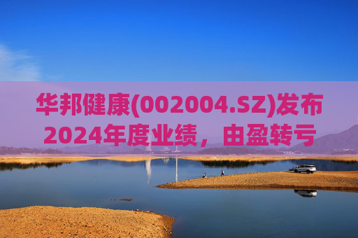 华邦健康(002004.SZ)发布2024年度业绩，由盈转亏2.99亿元  第1张