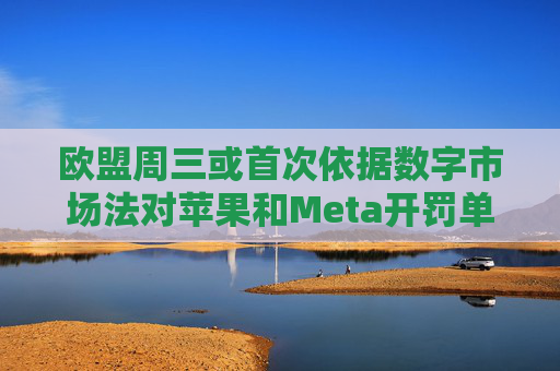 欧盟周三或首次依据数字市场法对苹果和Meta开罚单