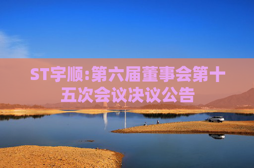 ST宇顺:第六届董事会第十五次会议决议公告