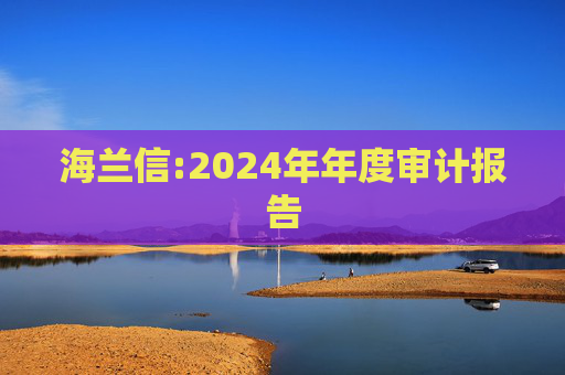 海兰信:2024年年度审计报告  第1张