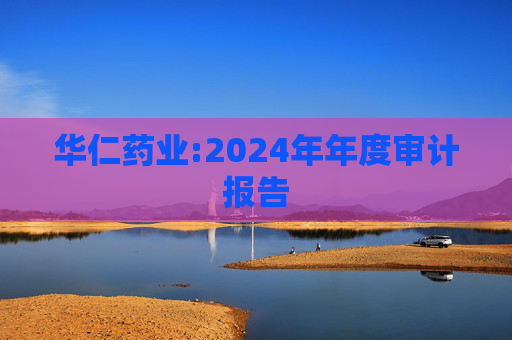华仁药业:2024年年度审计报告