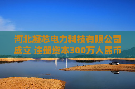 河北凝芯电力科技有限公司成立 注册资本300万人民币