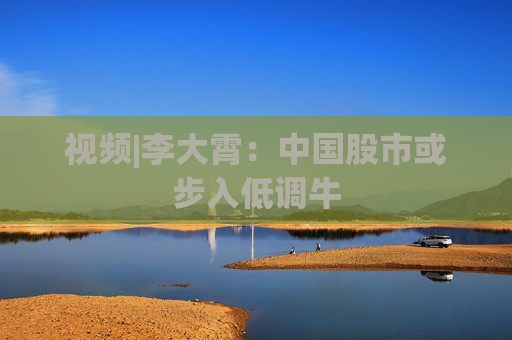 视频|李大霄：中国股市或步入低调牛  第1张