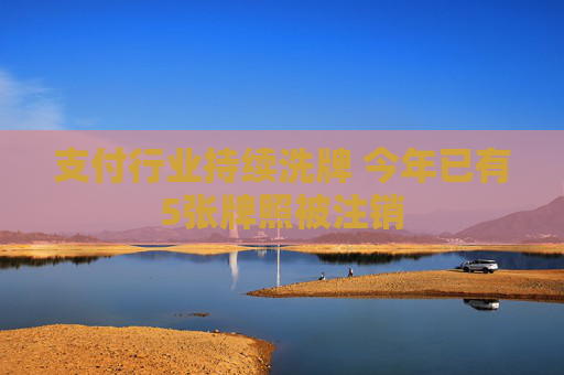 支付行业持续洗牌 今年已有5张牌照被注销