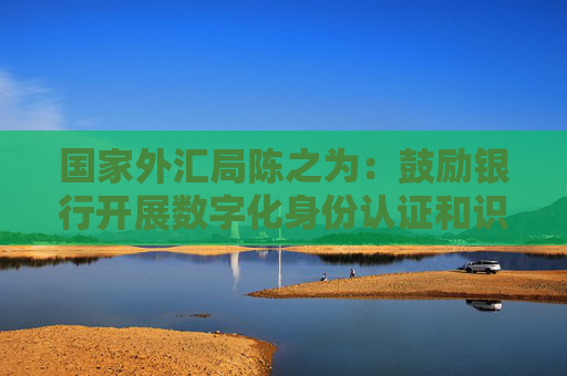 国家外汇局陈之为：鼓励银行开展数字化身份认证和识别服务，支持金融机构利用区块链技术等优化真实性审核