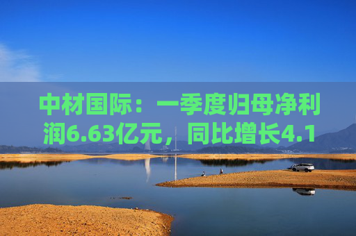 中材国际：一季度归母净利润6.63亿元，同比增长4.19%  第1张