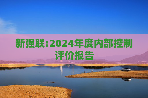 新强联:2024年度内部控制评价报告  第1张