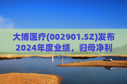 大博医疗(002901.SZ)发布2024年度业绩，归母净利润3.57亿元，同比增长505.16%  第1张