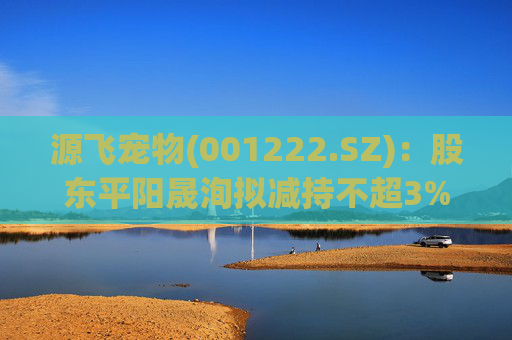 源飞宠物(001222.SZ)：股东平阳晟洵拟减持不超3%股份