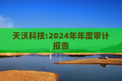 天沃科技:2024年年度审计报告