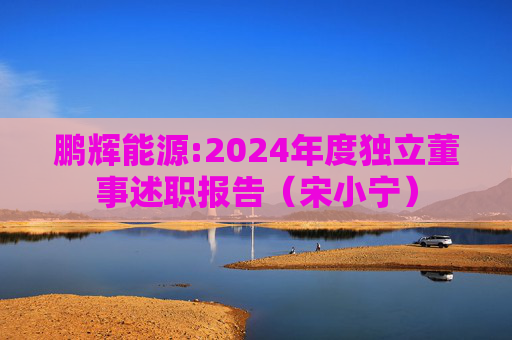 鹏辉能源:2024年度独立董事述职报告（宋小宁）  第1张