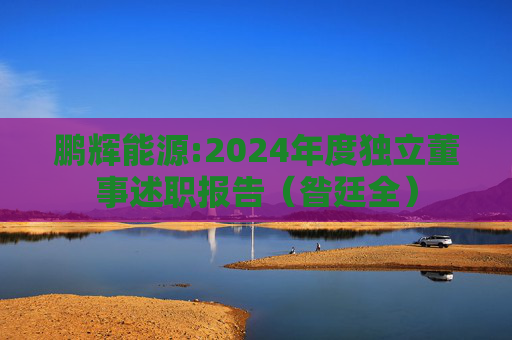 鹏辉能源:2024年度独立董事述职报告（昝廷全）  第1张