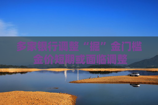 多家银行调整“掘”金门槛 金价短期或面临调整