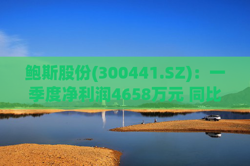 鲍斯股份(300441.SZ)：一季度净利润4658万元 同比下降24.33%