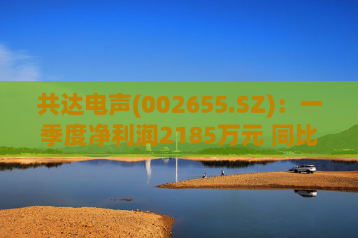 共达电声(002655.SZ)：一季度净利润2185万元 同比增长27.24%  第1张