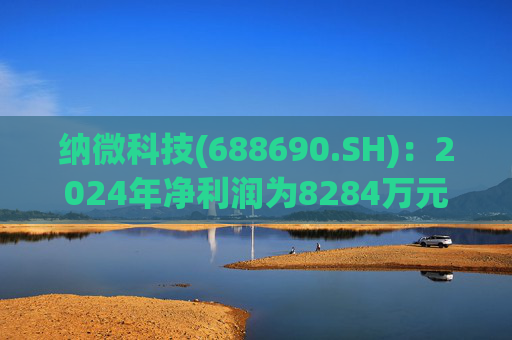 纳微科技(688690.SH)：2024年净利润为8284万元，同比上升20.8%
