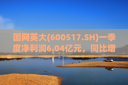 国网英大(600517.SH)一季度净利润6.04亿元，同比增长45.22%  第1张