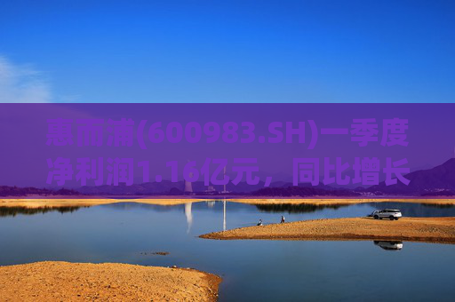 惠而浦(600983.SH)一季度净利润1.16亿元，同比增长1029.06%  第1张