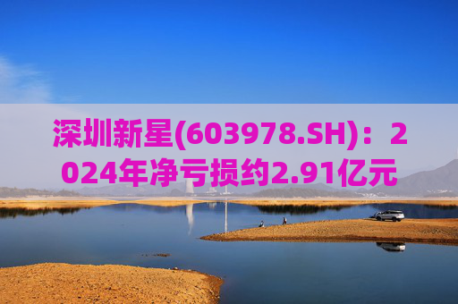 深圳新星(603978.SH)：2024年净亏损约2.91亿元  第1张