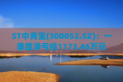 ST中青宝(300052.SZ)：一季度净亏损1173.46万元