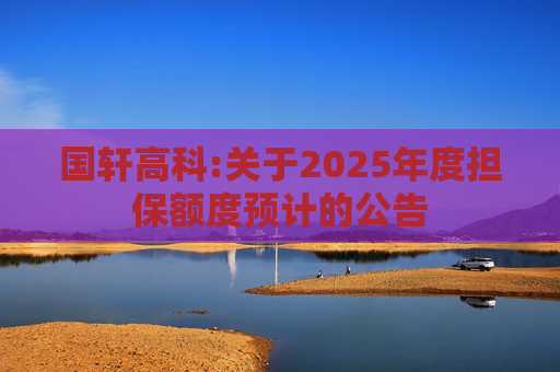 国轩高科:关于2025年度担保额度预计的公告  第1张