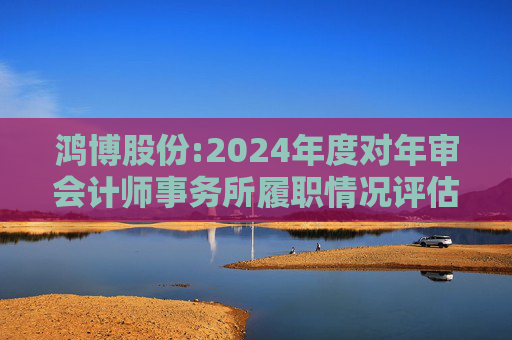 鸿博股份:2024年度对年审会计师事务所履职情况评估报告  第1张