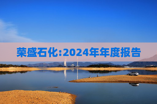 荣盛石化:2024年年度报告