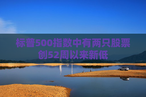 标普500指数中有两只股票创52周以来新低