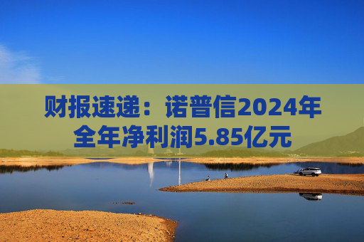 财报速递：诺普信2024年全年净利润5.85亿元  第1张