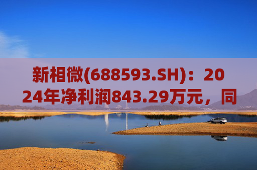 新相微(688593.SH)：2024年净利润843.29万元，同比下降69.38%