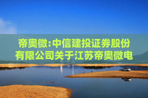帝奥微:中信建投证券股份有限公司关于江苏帝奥微电子股份有限公司2024年度持续督导工作现场检查报告