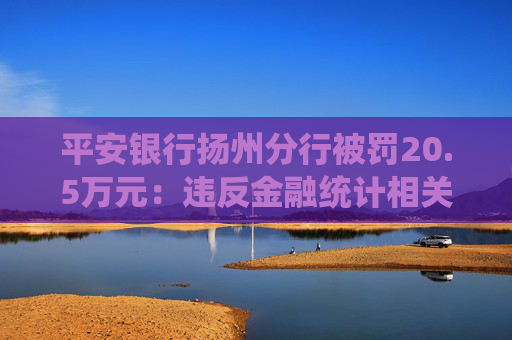 平安银行扬州分行被罚20.5万元：违反金融统计相关规定、违反账户管理规定、违反网络安全管理规定