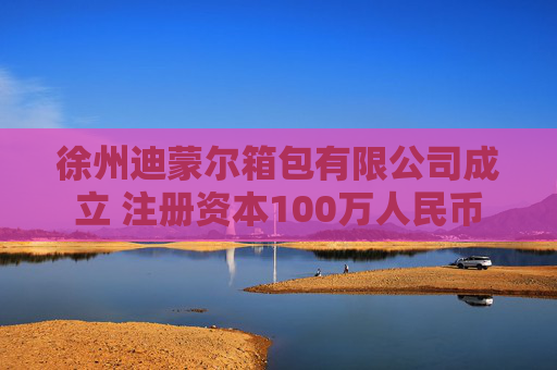 徐州迪蒙尔箱包有限公司成立 注册资本100万人民币