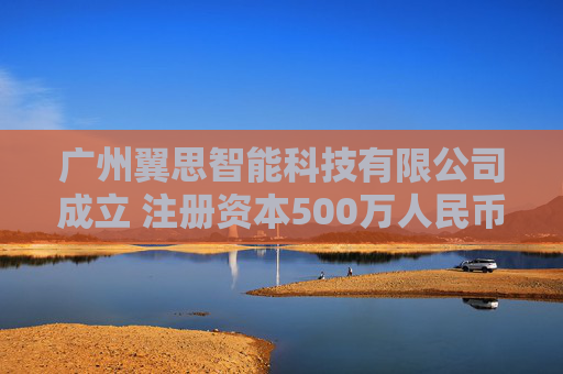 广州翼思智能科技有限公司成立 注册资本500万人民币