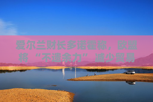 爱尔兰财长多诺霍称，欧盟将 “不遗余力” 减少贸易相关的不确定性  第1张
