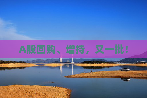 A股回购、增持，又一批！  第1张