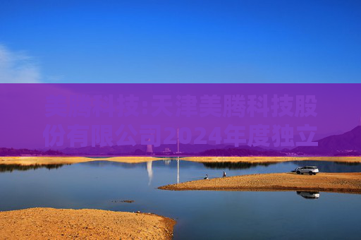 美腾科技:天津美腾科技股份有限公司2024年度独立董事述职报告（段发阶）