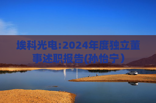 埃科光电:2024年度独立董事述职报告(孙怡宁）