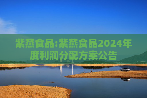 紫燕食品:紫燕食品2024年度利润分配方案公告  第1张